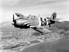 Grumman Wildcat of 846 sqn from Eglington in stripes of Allied Expeditionary Force