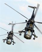Sea King Mk4 helicopters from 845 NAS performing at this years air day