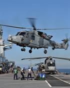 847 Naval Air Squadron on Exercise Trident Juncture