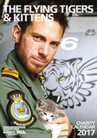 Royal Navy pilots and kittens charity calendar