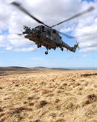 Lynx from 815 NAS