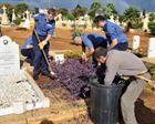 Helping to clear war graves