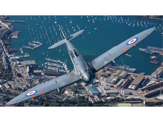 NAVAL SEAFIRE MK XVII SX336 JOINS NAVY WINGS HERITAGE FLYING COLLECTION