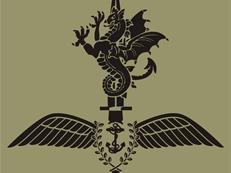CHF Arm Badge
