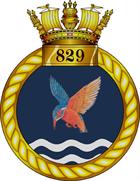 829 NAS Badge