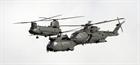 Chinook Merlin and Puma helicopters