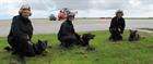 Police dogs – Manley, Sam and Ash with their handlers.