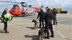 771 NAS and Police dog exercise