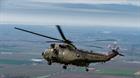 Commando fliers help celebrate Dutch marines’ birthday