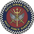 Naval Strike Wing
